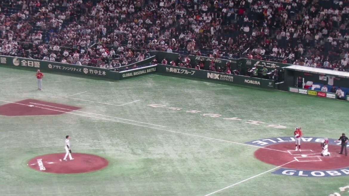 R・フローレスを打ちとる才木浩人（2024年11月22日 プレミア12日本 対 ベネズエラ ）