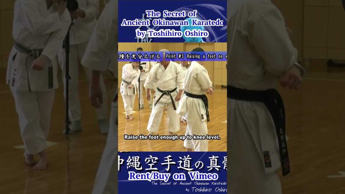 #Wanshu #Explanations　The Secret of Ancient Okinawan Karatedo by Toshihiro Oshiro #short #karate