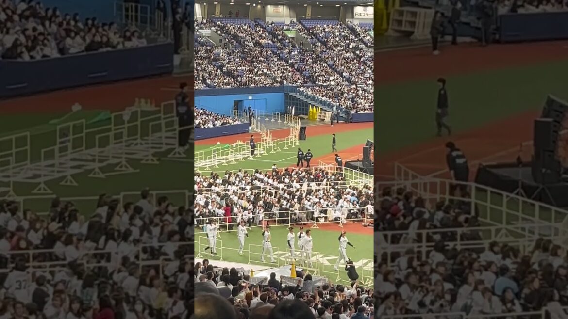 【Bsファンフェスタ】オリックスバファローズ