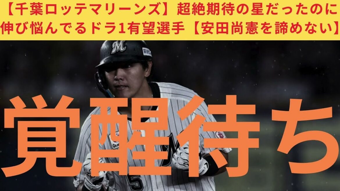 【覚醒待ち】超絶期待の星だったのに伸び悩んでるロッテドラ1有望選手【安田尚憲を諦めない】