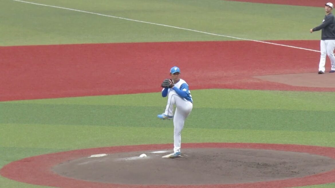 日ハム 柿木蓮の投球フォーム（2024年11月14日 プロ野球合同トライアウト ）