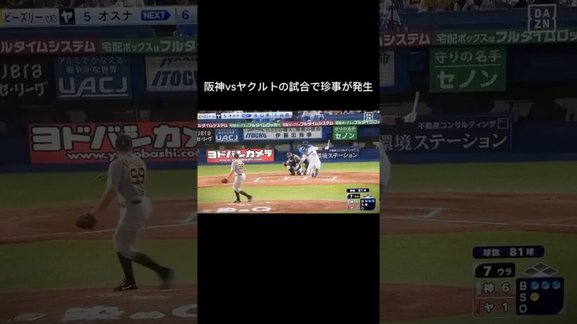 阪神vsヤクルトの試合で、珍事が発生！  #short #珍プレー #珍プレイ #阪神　#ヤクルト #佐藤輝明 #木浪 #タイガース #サトテル #乱闘 # オスナ #バット #プロ野球
