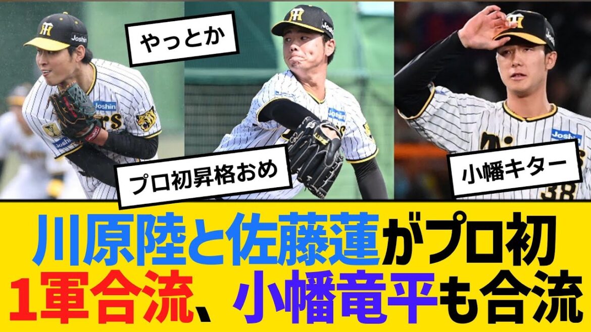 阪神・川原陸と佐藤蓮がプロ初1軍合流、小幡竜平も合流　【ネットの反応】【反応集】