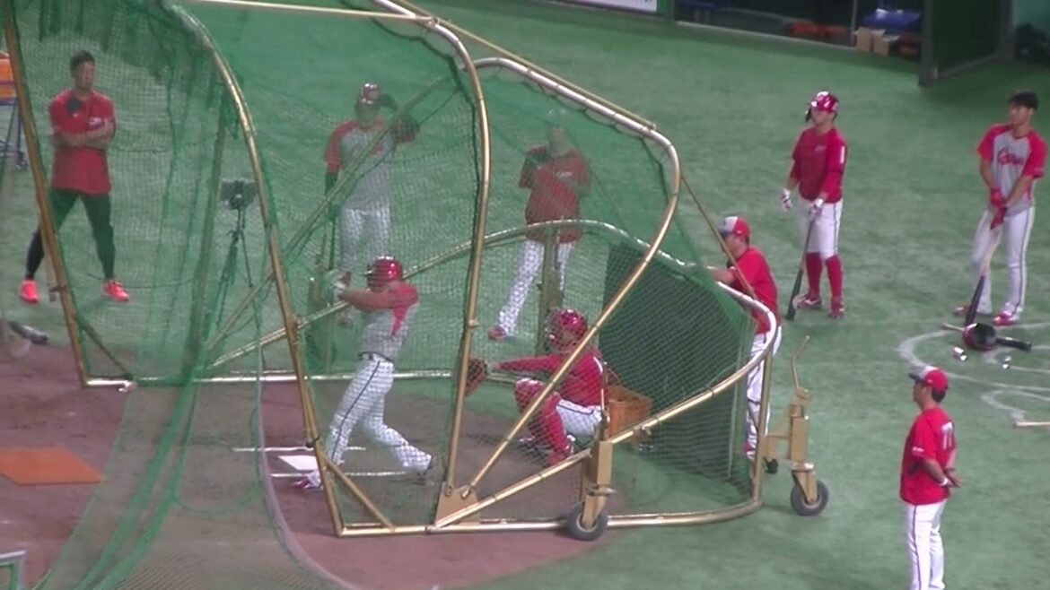 中村奨成 試合前のフリーバッティング（2024年8月20日 読売ジャイアンツ 対 広島カープ）