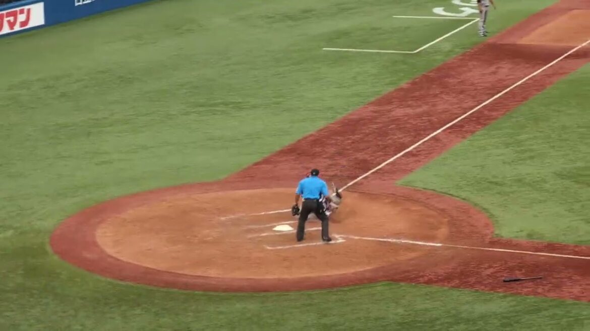 【音量注意】2024.6.30 ヤクルト対阪神 9回表 佐藤輝明のレフトフェンス直撃の当たりを並木選手が素早く処理して中継の長岡選手へ。長岡選手も松本直樹捕手へストライク返球し、タッチアウトで試合終了