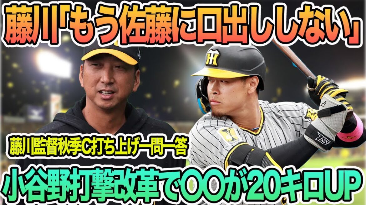 【藤川監督「もう佐藤に口出ししない」宣言】小谷野打撃改革でスイングスピード20キロアップ 藤川監督秋季キャンプ打ち上げ一問一答 阪神タイガース 【藤川監督「もう佐藤に口出ししない」宣言】小谷野打撃改革でスイングスピード20キロアップ 藤川監督秋季キャンプ打ち上げ一問一答 阪神タイガース