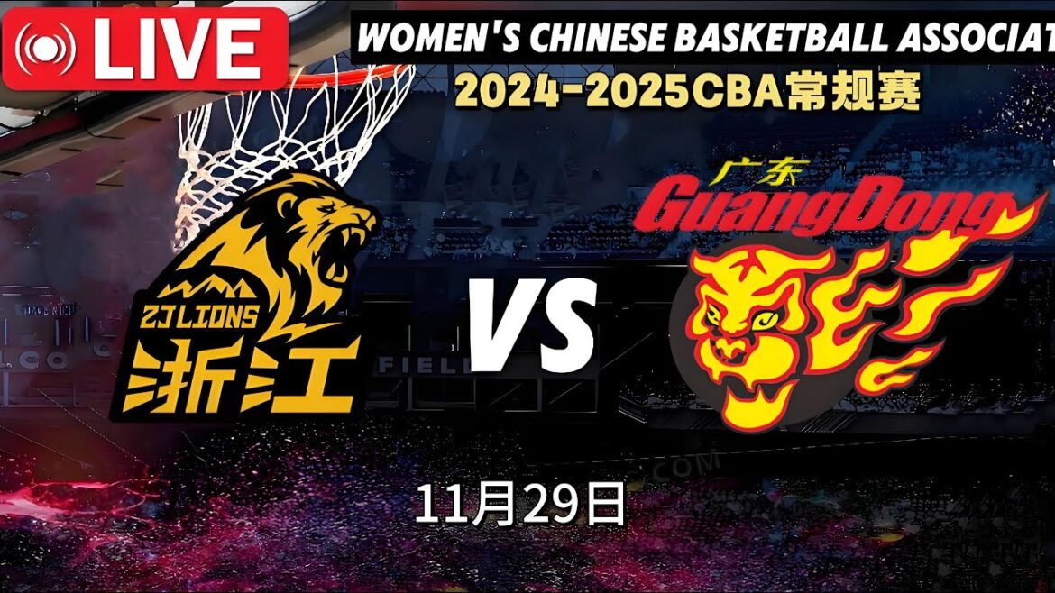 🔴cba直播 | 浙江广厦 VS 广东东阳光 | Zhejiang Lions VS Guangdong East Sunshine |2K HD | 2024年11月29日