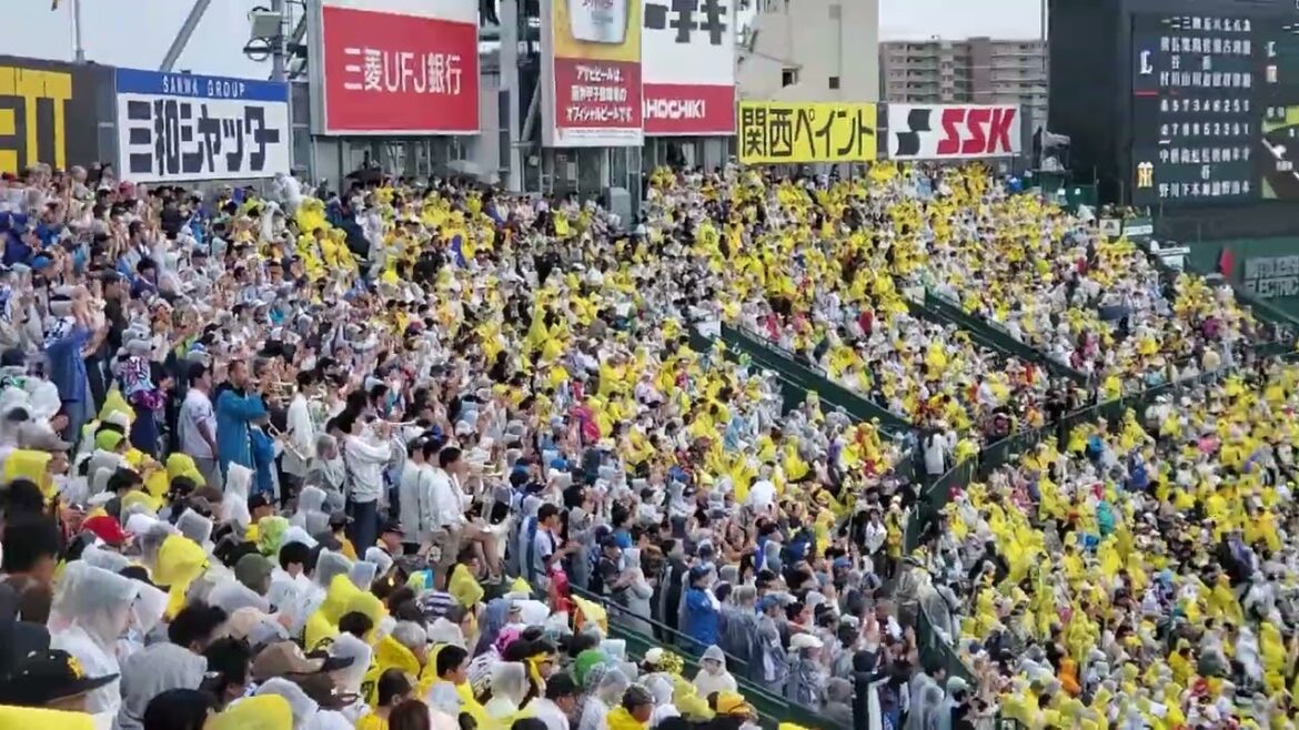 20240609　吠えろ♪【長谷川信哉 応援歌】　1回表　埼玉西武ﾗｲｵﾝｽﾞ@阪神甲子園球場･ﾚﾌﾄ外野 日本生命ｾ･ﾊﾟ交流戦