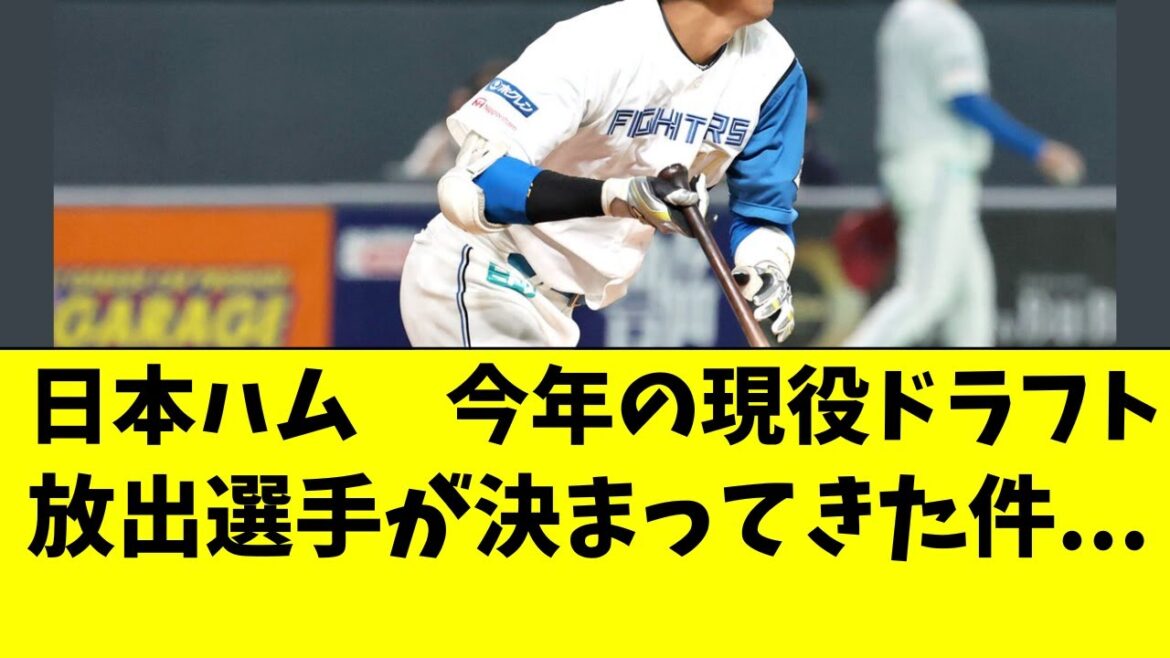 【日ハム】今年の現役ドラフト候補、決まってきてしまった件