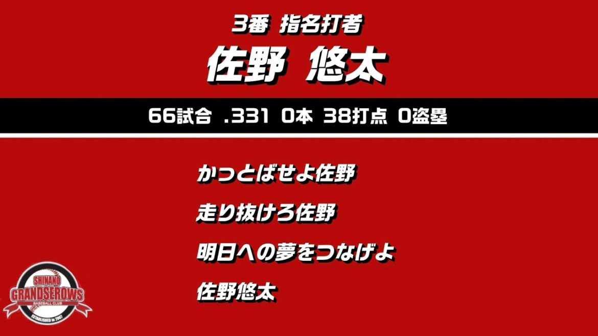【1-9】2019年 信濃グランセローズ 1-9