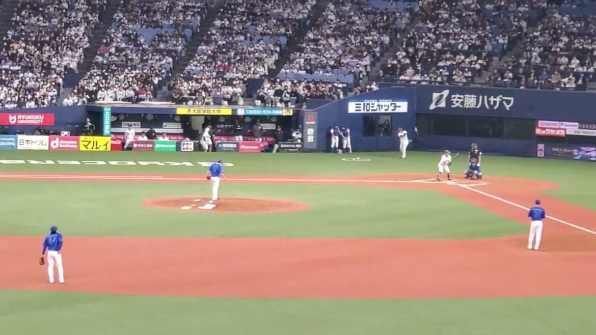 20240303　機先を制する【福田周平 応援歌(通常･火鑽篇)】　7回ｳﾗ　ｵﾘｯｸｽ･ﾊﾞﾌｧﾛｰｽﾞ@京ｾﾗﾄﾞｰﾑ大阪･ﾚﾌﾄ外野下段 ｵｰﾌﾟﾝ戦