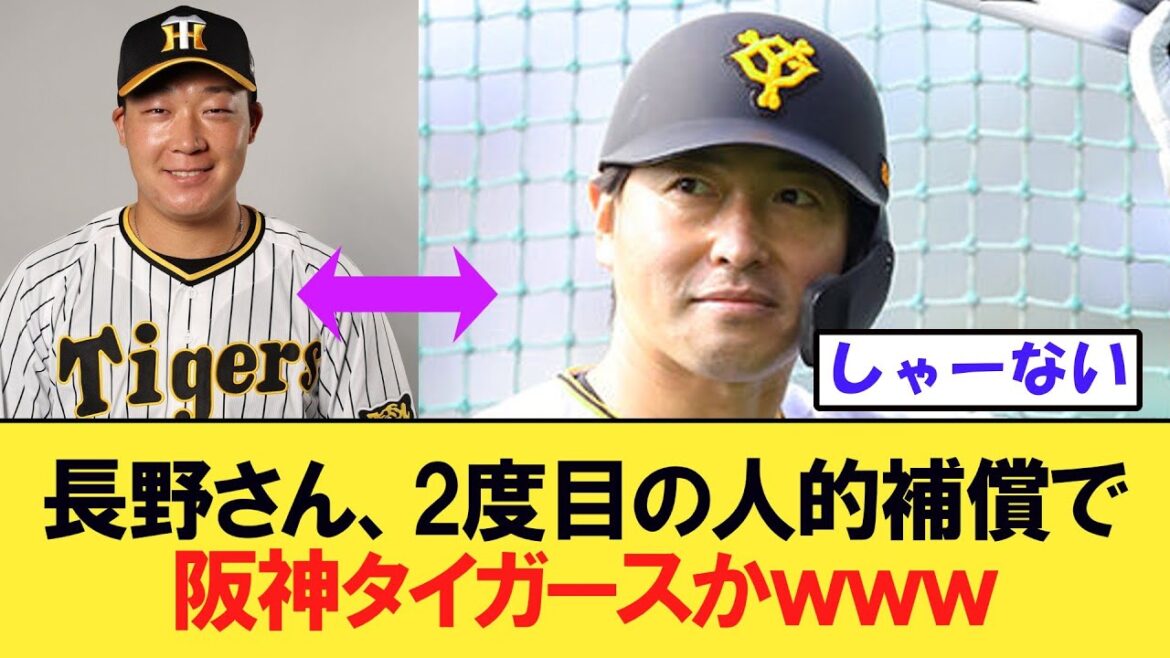 【悲報】長野久義さん、プロテクト漏れで2度目の人的補償で阪神タイガースへ