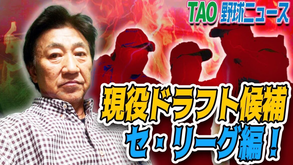第2の大竹、細川は出てくるのか!?【12/3】