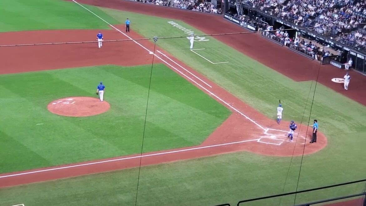 20240601　日本代表でも足で活躍！【五十幡亮汰 応援歌】　8回ｳﾗ　北海道日本ﾊﾑﾌｧｲﾀｰｽﾞ@ｴｽｺﾝﾌｨｰﾙﾄﾞHOKKAIDO･内野3塁側 日本生命ｾ･ﾊﾟ交流戦