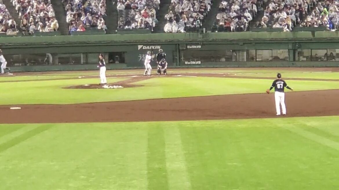 20240501　あつくたぎる♪ 【宗佑磨 応援歌】　6回ｳﾗ　ｵﾘｯｸｽ･ﾊﾞﾌｧﾛｰｽﾞ@ほっともっとﾌｨｰﾙﾄﾞ神戸･ﾚﾌﾄ外野