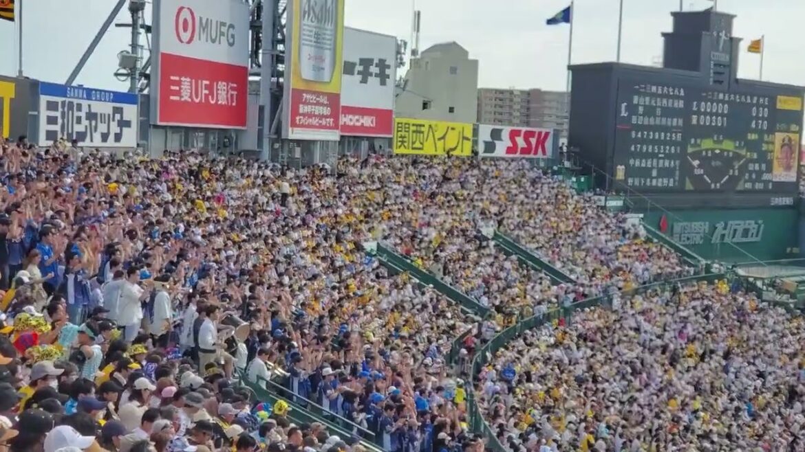 20240608　古巣戦不発でまさかの戦力外通告…【陽川尚将 応援歌】　7回表　埼玉西武ﾗｲｵﾝｽﾞ@阪神甲子園球場･ﾚﾌﾄ外野 日本生命ｾ･ﾊﾟ交流戦