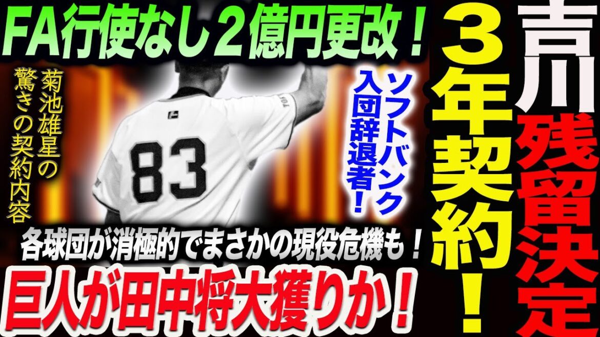 巨人が田中将大獲りか！各球団が消極的でまさかの現役危機も！吉川残留決定３年契約２億円更改！ソフトバンク入団辞退者！菊池雄星の契約内容！読売巨人軍 ジャイアンツ 巨人 GIANTS 阿部監督