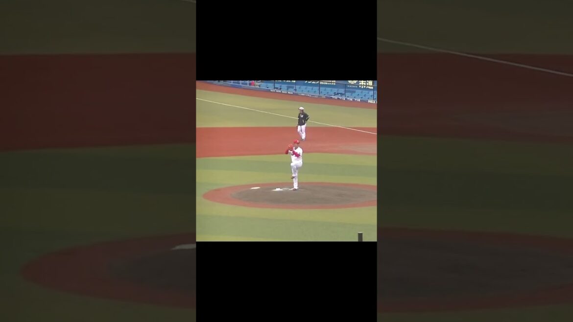 【合同トライアウト】元カープ岡田明丈の投球練習  2024年プロ野球12球団合同トライアウト11月14日