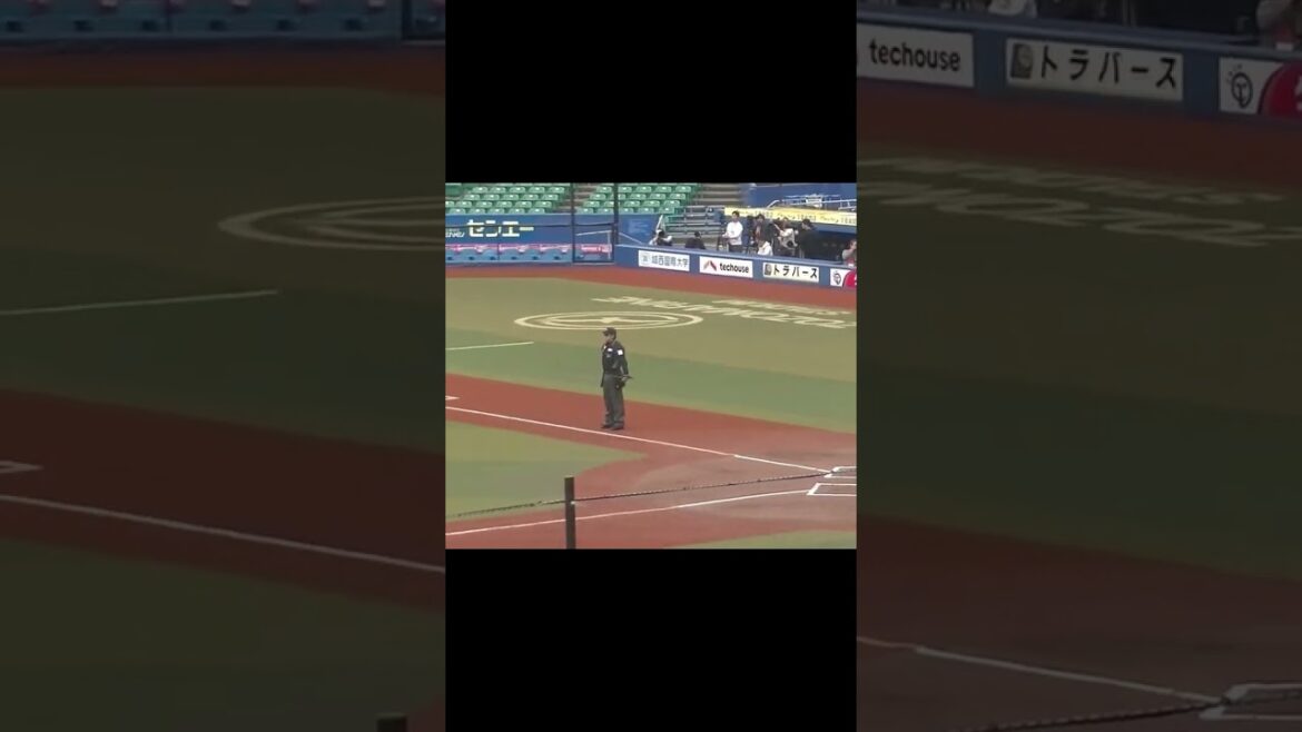 【合同トライアウト】バファローズ谷岡楓太の投球練習  2024年プロ野球12球団合同トライアウト11月14日