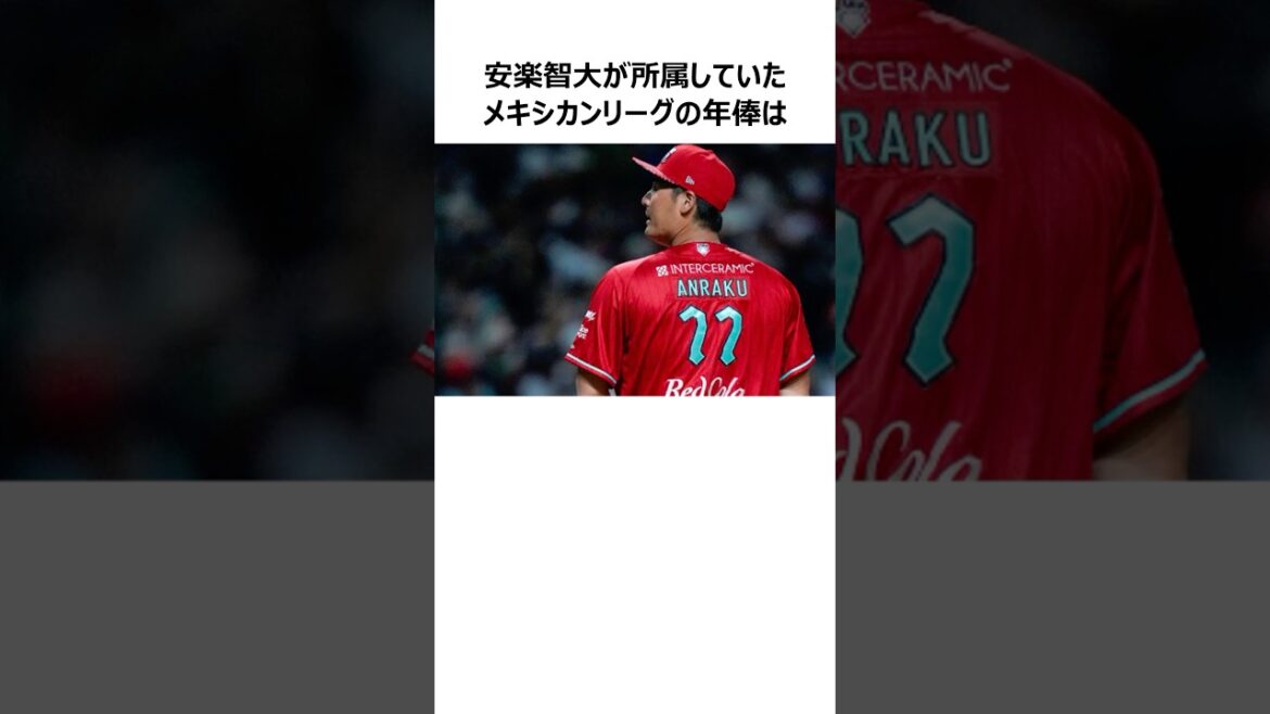 【日本復帰は？】安楽智大とメキシカンリーグに関する雑学