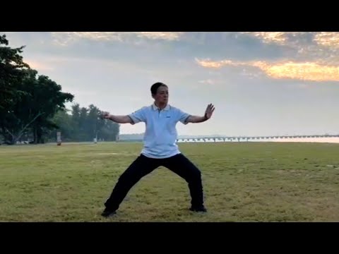 Chen Style Taichi Integrated – Master SunJiaXiong 孙嘉雄师傅 Chen Style Taichi Integrated - Master SunJiaXiong 孙嘉雄师傅