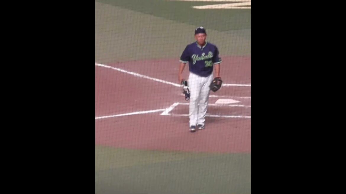 西田 明央（にしだ あきひさ）捕手　京都市伏見区出身 伏見中卒　#東京ヤクルトスワローズ #shorts