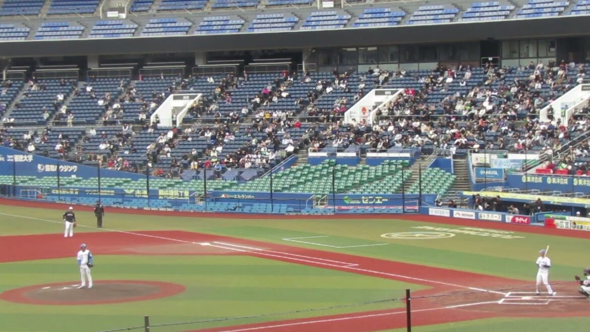 トライアウト〜日ハム 柿木蓮が中日 三好大倫をレフトフライ（2024年11月14日 プロ野球合同トライアウト ）