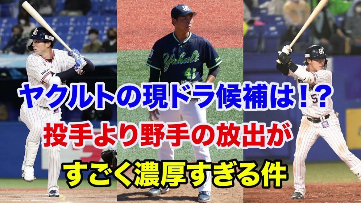 【ヤクルト 現役ドラフト】今年は野手放出が濃厚⁉️投手よりも野手の方に宝の山が多すぎる件