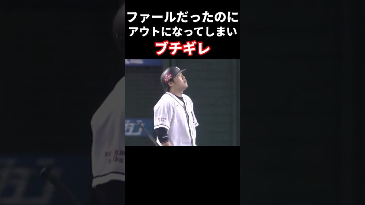 ファールをアウトにされてブチギレ #プロ野球
