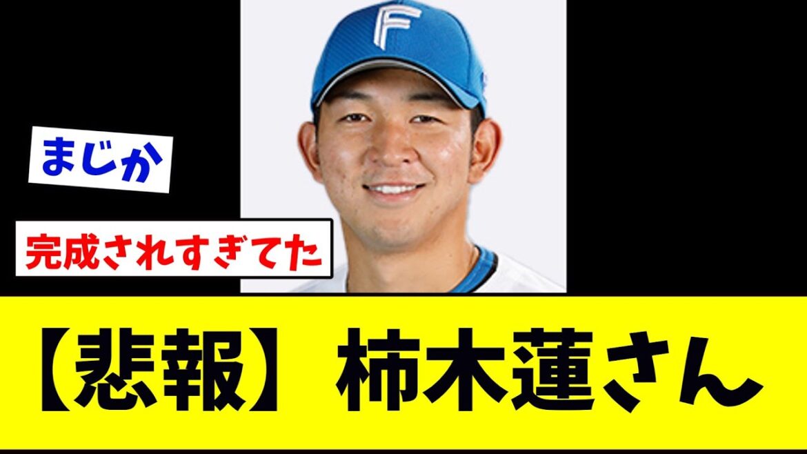 【悲報】柿木蓮（24）　　　　　　　　　　　　　　　　　【大阪桐蔭】【野球】