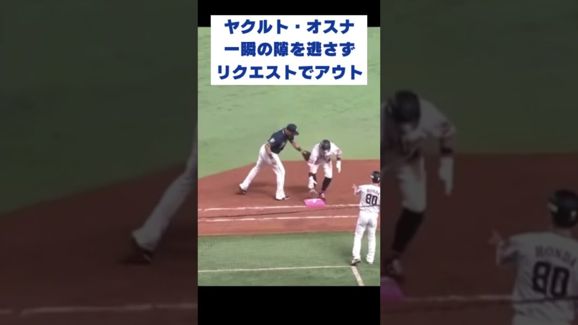 【好プレー】ヤクルト・オスナ、一瞬の隙を逃さない！#shorts #珍プレー #野球