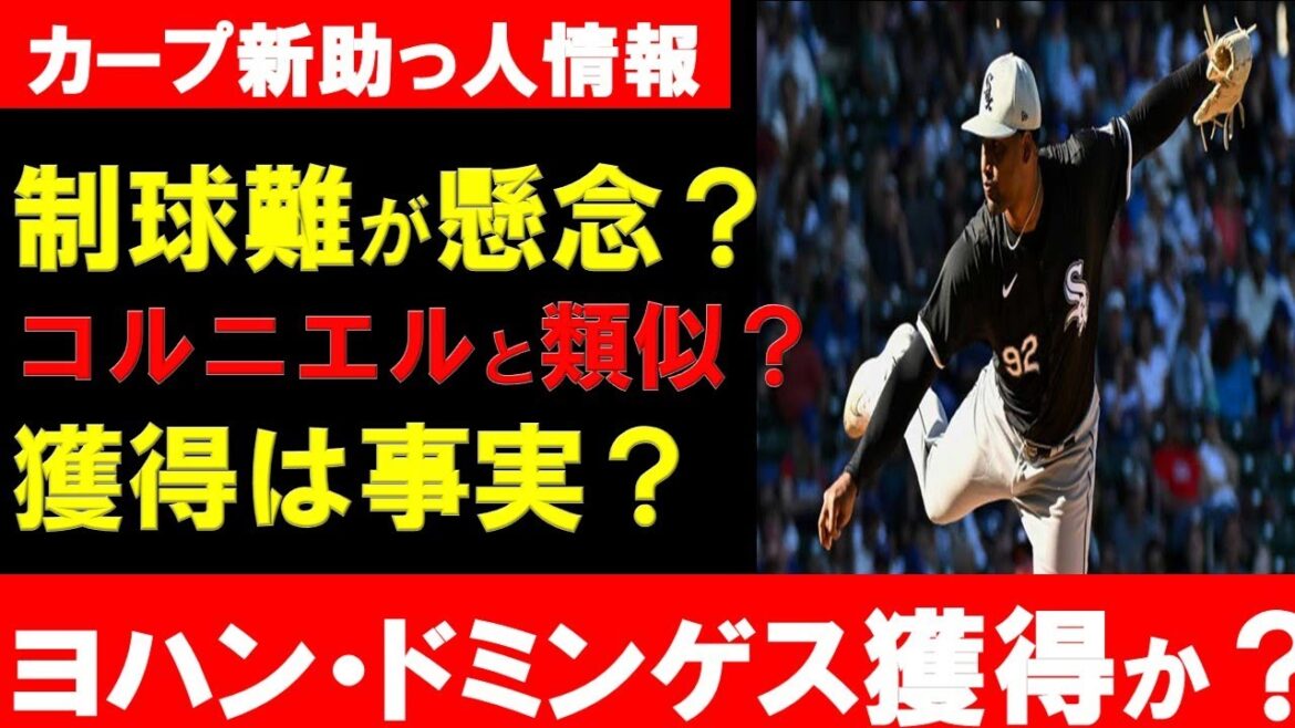 【助っ人?】広島がヨハン・ドミンゲス獲得か?長身右腕のドミニカンでコルニエル投手の起用は?エスピノーザ投手と似た成績?【広島東洋カープ】 【助っ人?】広島がヨハン・ドミンゲス獲得か?長身右腕のドミニカンでコルニエル投手の起用は?エスピノーザ投手と似た成績?【広島東洋カープ】