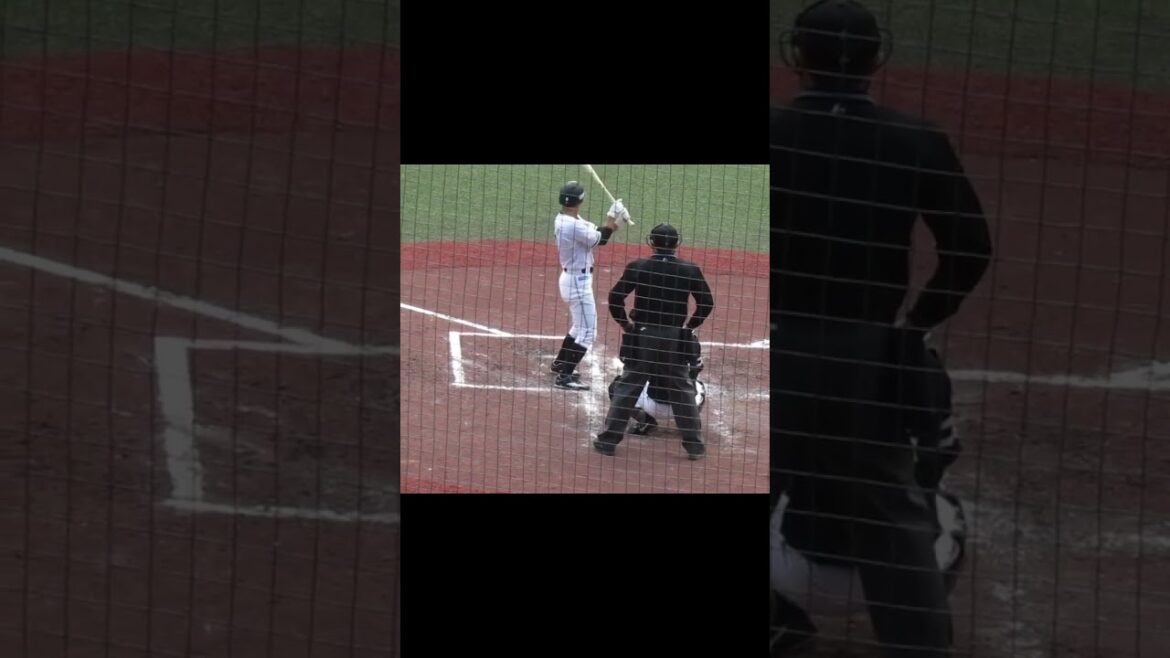 マリーンズ荻野貴司バッティングフォーム②千葉ロッテマリーンズ対ソフトバンクホークス2024年3月8日