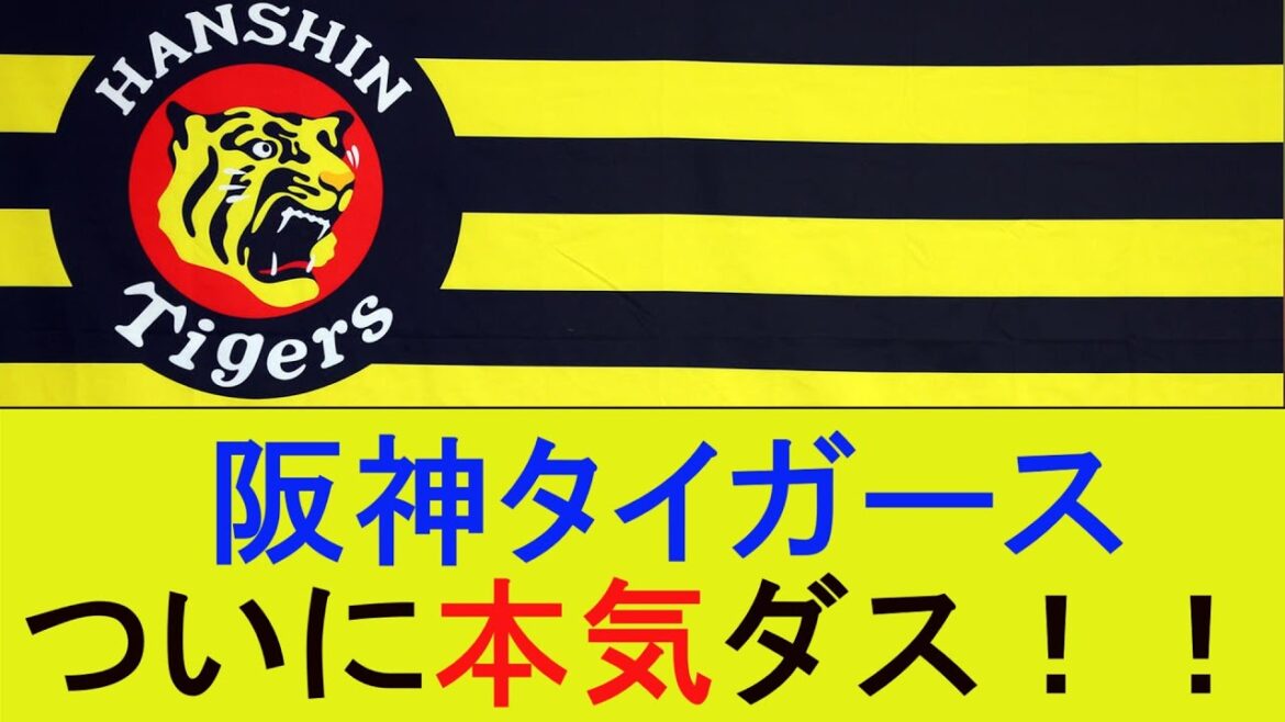 阪神タイガース ついに本気ダス！！【プロ野球なんJ反応】【5ｃｈスレ】【2ｃｈスレ】