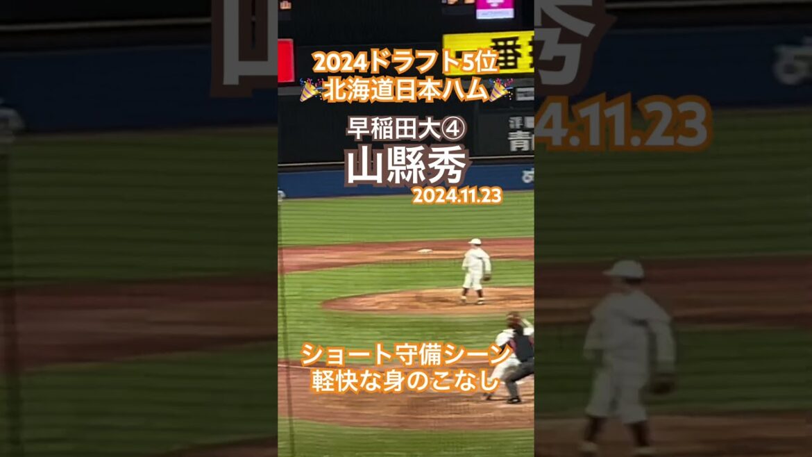 #山縣秀 #北海道日本ハムファイターズ #早稲田大学 #大学野球