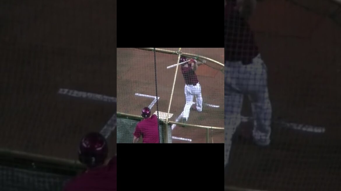 楽天 小深田大翔のバッティングフォーム #プロ野球 #野球 #小深田大翔