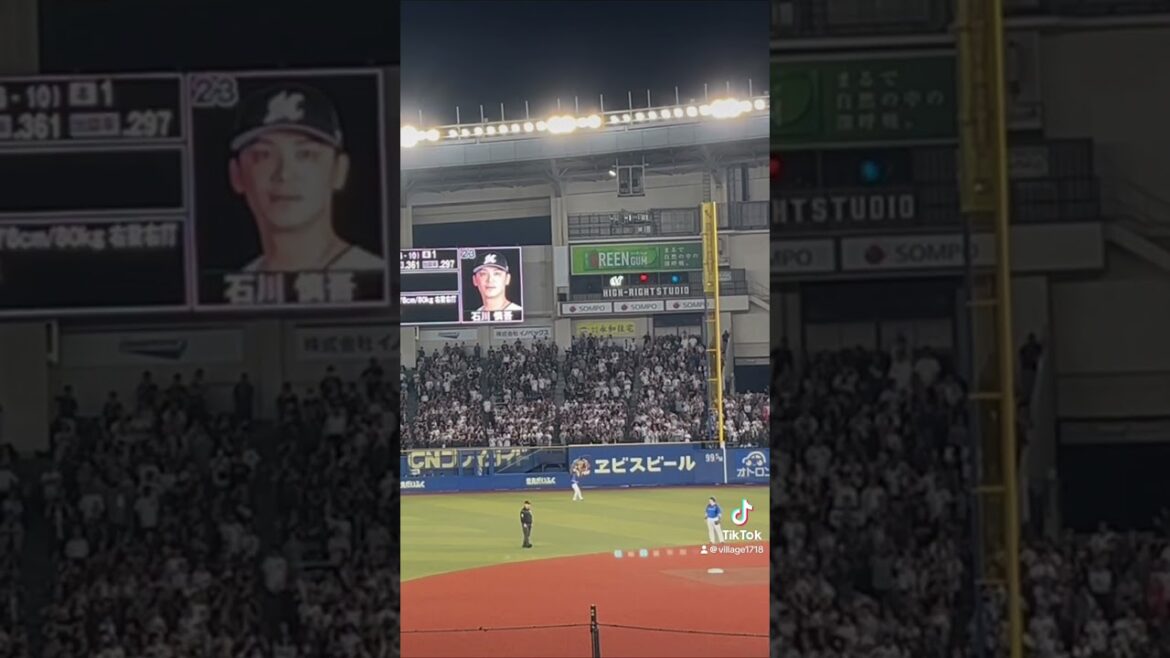 千葉ロッテマリーンズ 応援風景 ※ 石川慎吾（2024年6月11日）