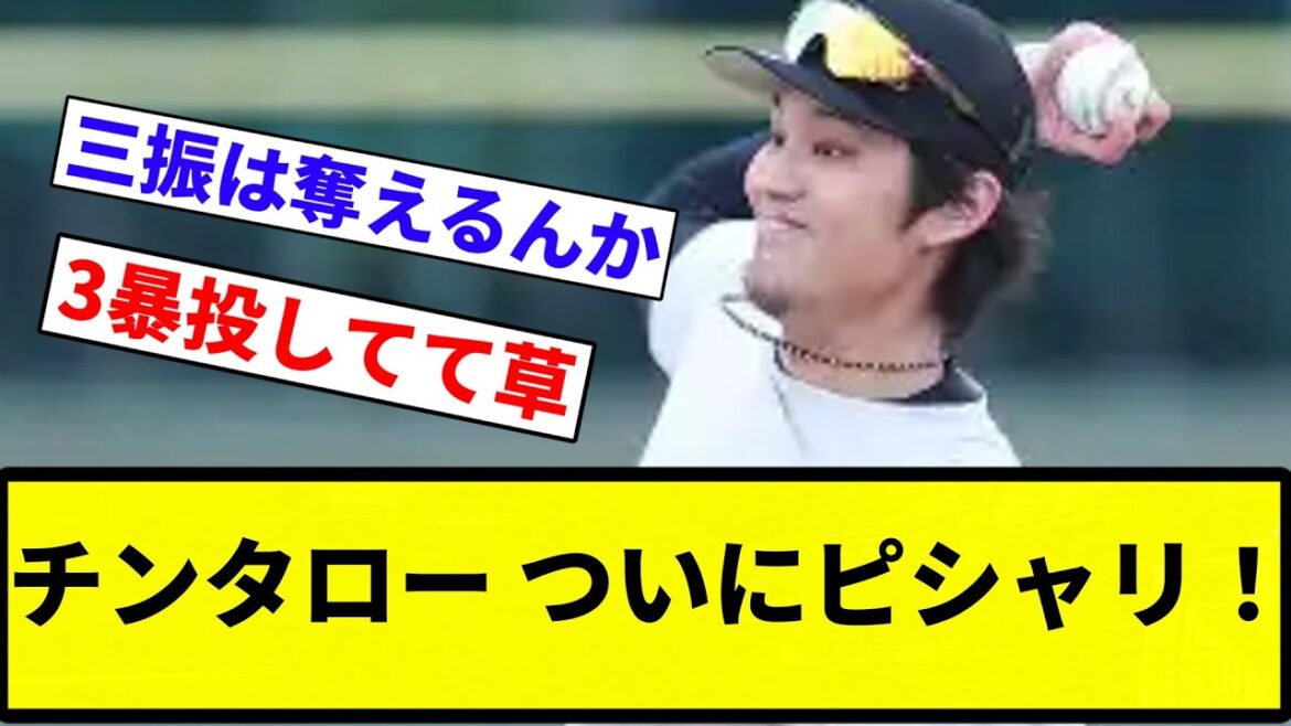 【ピシャリ！】チンタロー ついにピシャリ！【プロ野球反応集】【プロ野球反応集】