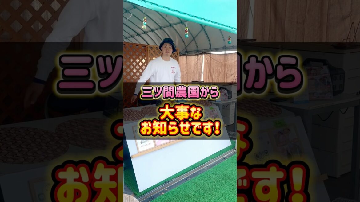 三ツ間農園がスターナイト1日目を終了し今後の重大発表が… 三ツ間農園がスターナイト1日目を終了し今後の重大発表が…