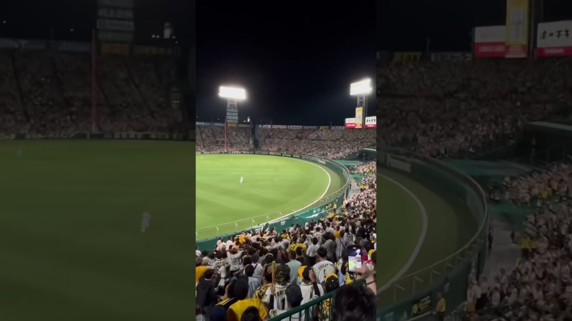 【6/5虎まみれの甲子園ライトスタンドにぶち込む逆転2ランHR】あと1人コールからの完全なる沈黙。楽天小郷の完璧アーチ。