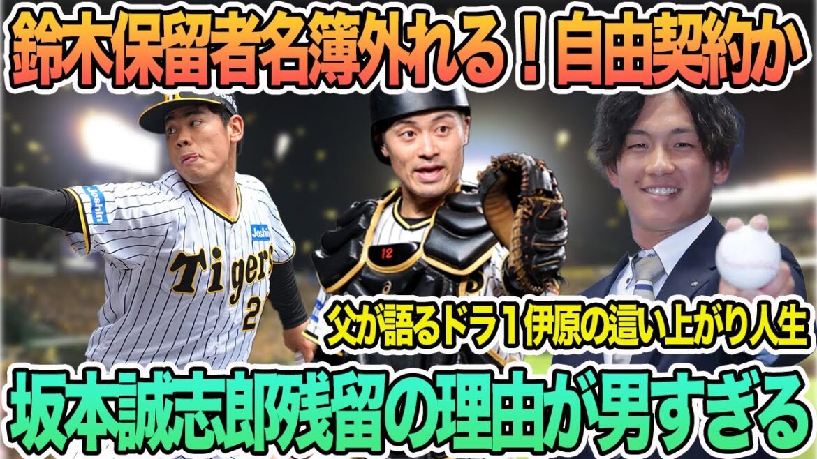 【鈴木　保留者名簿から外れる！自由契約か？】坂本誠志郎残留の理由が男すぎる　　父が明かすドラ1伊原の這い上がり人生 　阪神タイガース