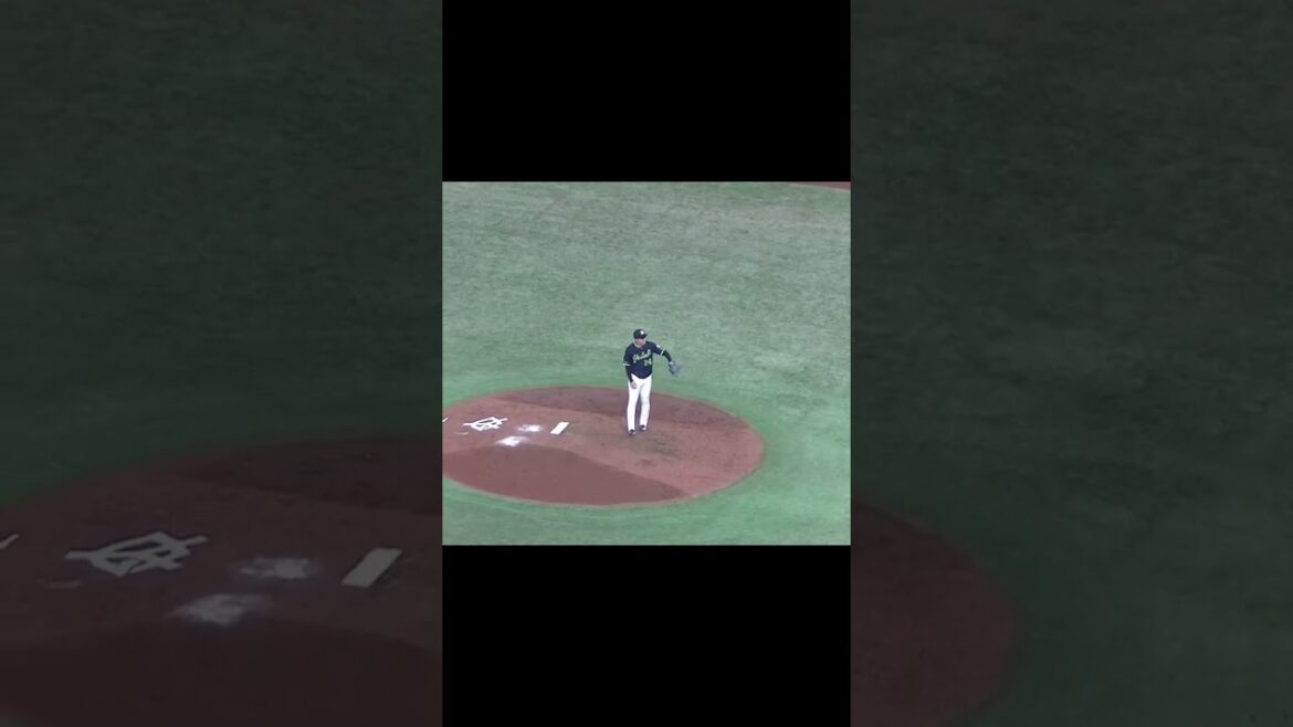 【野球選手フォーム集】星知弥の投球フォーム（2024年4月30日 読売ジャイアンツ対 ヤクルトスワローズ）