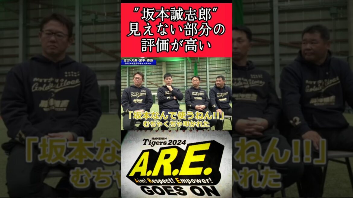 【阪神】"坂本誠志郎"見えない部分の評価！ #阪神 #阪神タイガース #坂本誠志郎 #shorts