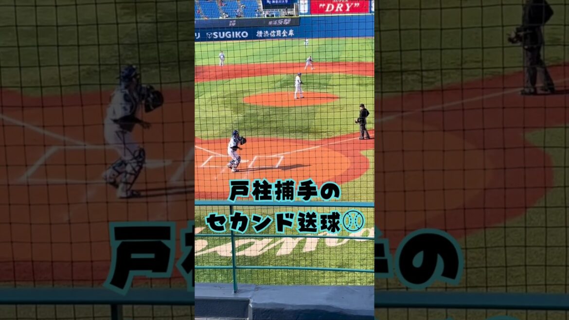 DeNA 戸柱恭孝 捕手の二塁送球⚾ #shorts #野球 #プロ野球 #キャッチャー #横浜denaベイスターズ #戸柱恭孝
