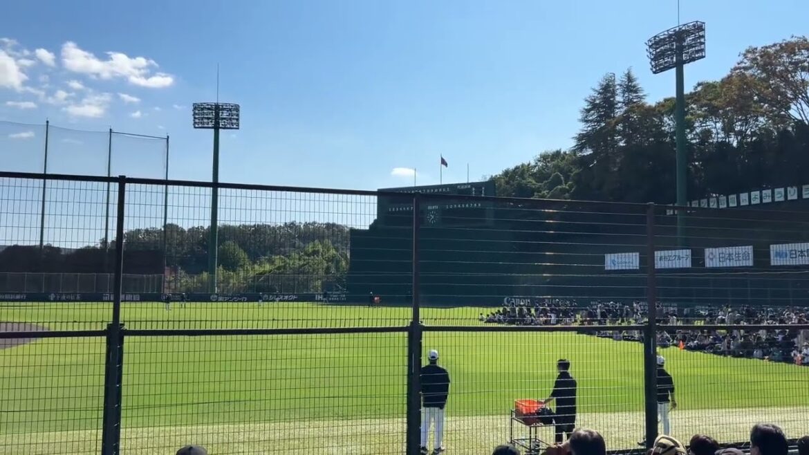 【秋季練習】阿部監督ノック秋広優人とのやりとりが面白い（読売ジャイアンツ ジャイアンツ球場 2024年11月3日）