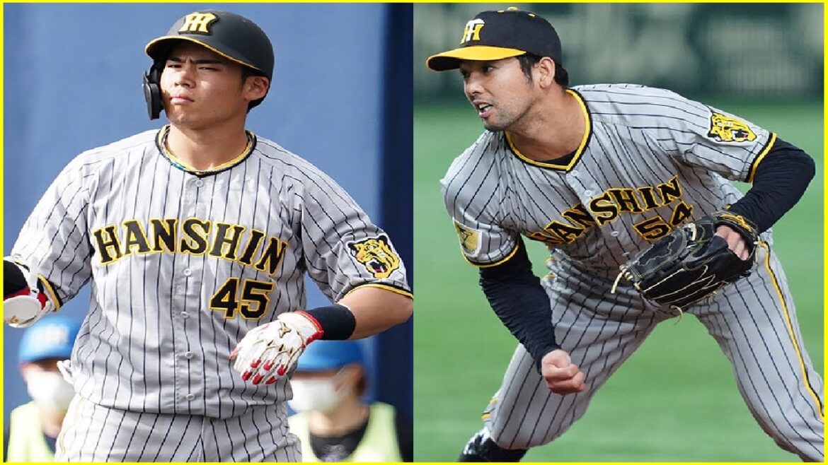 ⚾他球団が“飛びついた”阪神戦力外…驚異の60％　2軍無双右腕やタイトルホルダーら逸材揃い🧢