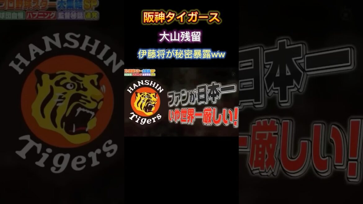 大山悠輔が阪神残留　世界一の阪神ファン　#大谷翔平 #巨人 #ソフトバンク #読売ジャイアンツ #オリックス #阪神タイガース #ヤクルト#中日ドラゴンズ #横浜denaベイスターズ #大山悠輔