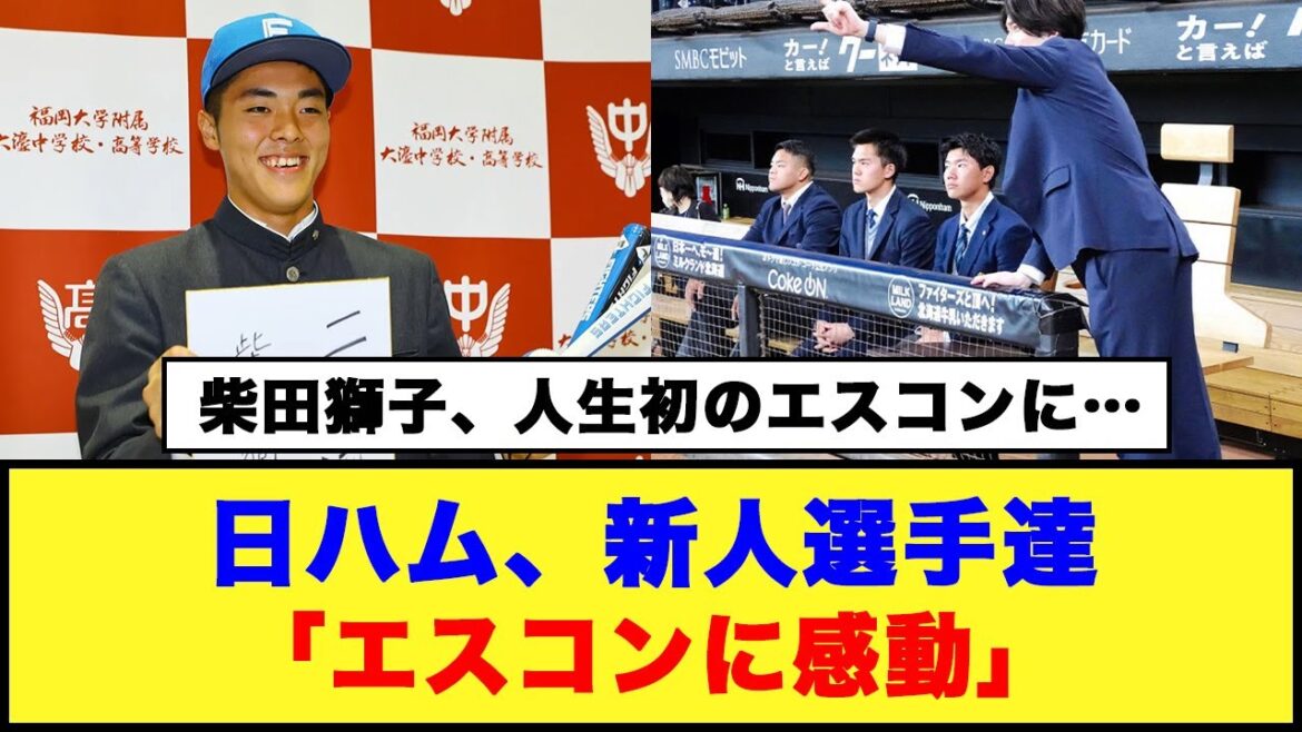 【柴田獅子、人生初のエスコンに…】日ハム新人選手達「エスコンに感動」#日ハム #柴田獅子 #新庄監督