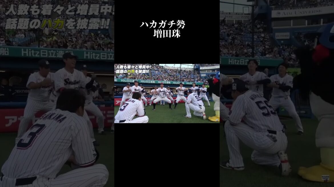 ハカ　ガチ勢　#shorts