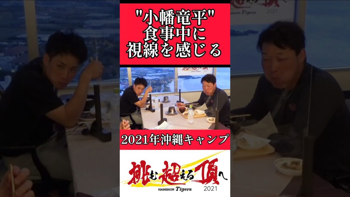 【阪神】"小幡竜平"視線を感じる！ #阪神 #阪神タイガース #小幡竜平 #木浪聖也 #大山悠輔 #shorts